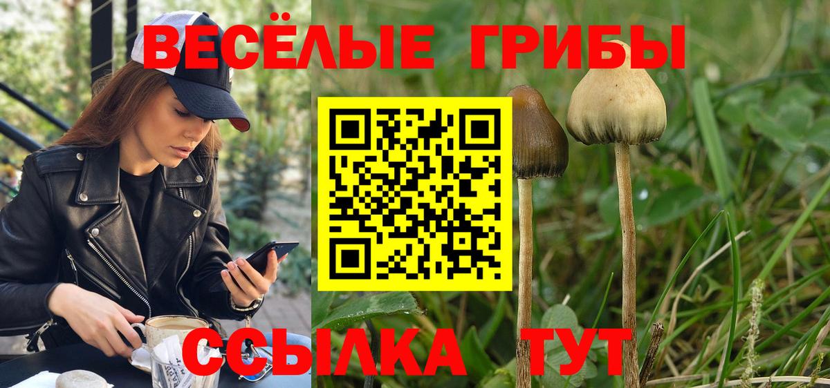 Псилоцибиновые грибы Magic Shrooms  Галлюциногенные грибы мицелий  Тутаев  Вход с VPN 